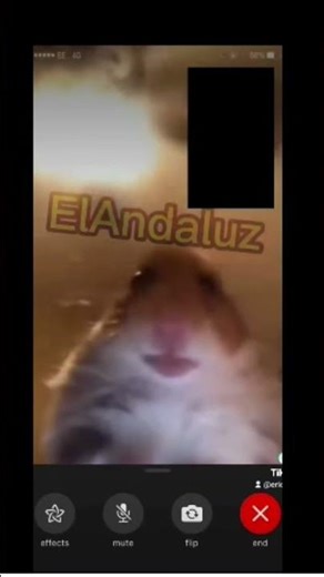 contesta pu##### te esto llamando pi pi po pipi por pipi por contesta pipi pi po pipipi po