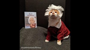 This librarian has a purr-fect idea to dress up her cat as literary icons
