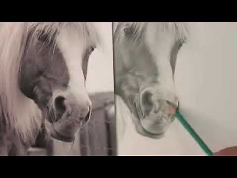Five Pencil Method!