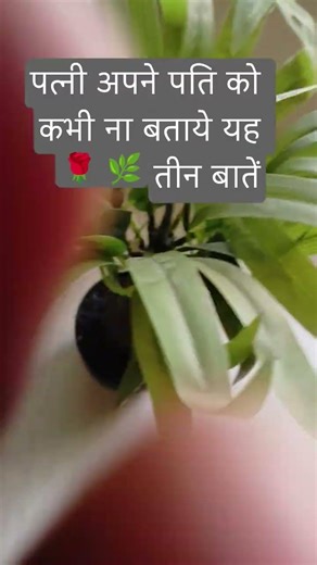#ज्योतिष#ज्योतिष ज्ञान#वास्तुशास्त्र#vastutips#trending #motivation #facts#youtubeshorts