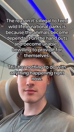 10K views · 6.9K reactions | Best not to read into it, anyway…￼ | Braeden Sorbo | Facebook