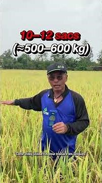 🌾 Moins d’engrais chimiques, mais plus de riz ! #4Tree #Booster