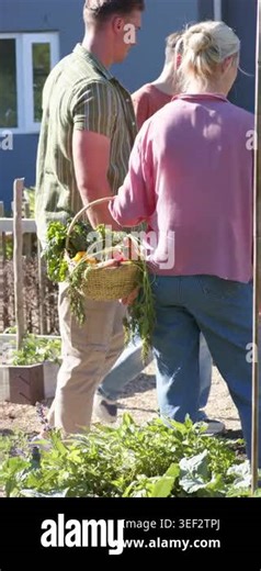 Vertical video: Parents gesturing to teenage son with blue can, son walking yard and watering beds. Family, garden, vegetables, produce, harvest, backyard, vertical video Stock Video Footage - Alamy