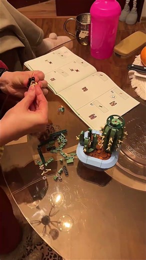 Watching My Mom Build LEGO 🌵🌵🌵