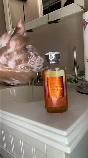 Sunshine Mimosa Shower Gel Review | Bath & Body Works