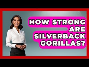 How Strong Are Silverback Gorillas? - The Wild Life Explorer