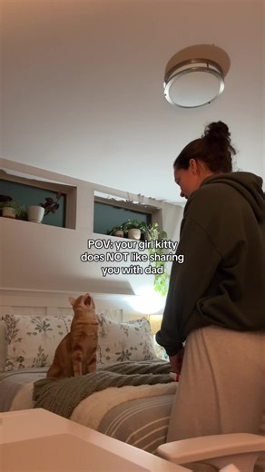 Ginger is a very shy girl with everyone except me, so I think having Evan around during our precious snuggle time stresses her out 🥺 #orangecat #cutecat #ginger #snuggletime #catsoftiktok