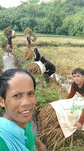 85K views · 8.3K reactions | Buhay ng mang gagapas talaga ulan init pero tuloy padin ❤️❤️❤️basta sama sama kayang kaya  please like and share naman po salamat kaagad 殺 | Jenneth Zumaraga | Facebook