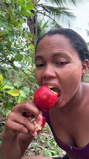 Desafios e Custos com Cuidados Veterinários