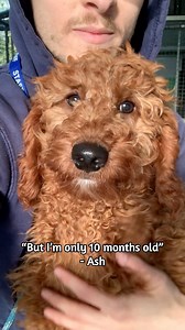 897K views · 13K reactions | Thought we’d jump on this trend and...