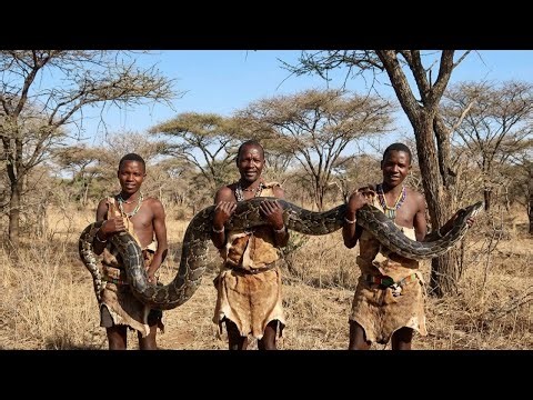 Ancient Survival Skills: Tracking Giant Pythons with the Hadzabe Tribe