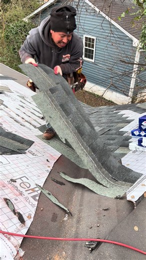 Essential Roofing Tips for Homeowners