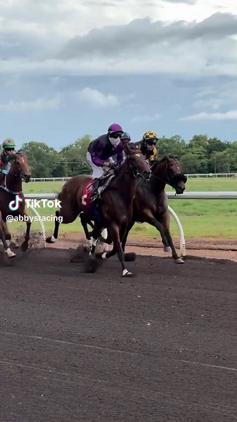 race 3 🔥 #horseracing #darwinturfclub #horseracingtiktok #horseracingedit #thoroughbred #galloping #horses #horseedit #horsevideo #foryoupage #edit #horsesoftiktok #equestrian #racehorseedit #racehorses