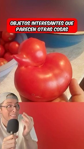 Interesting objects that look like other things 😱 #shorts