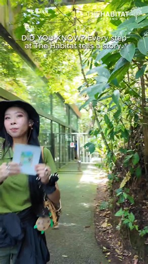 DID YOU KNOW? Every step at The Habitat tells a story. 🌿Collect stamps, create your own postcard, and take home a piece of the rainforest. 💌 🎟️ Purchase your postcard at the ticketing counter and begin your journey! 👉 Book your visit now: https://book.thehabitat.my/tours/malaysia/penang/standard-entrance-pass | The Habitat Penang Hill