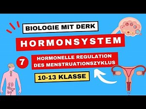 Hormonsystem | 7 | Hormonelle Regulation des Menstruationszyklus | 10 - 13 Klasse