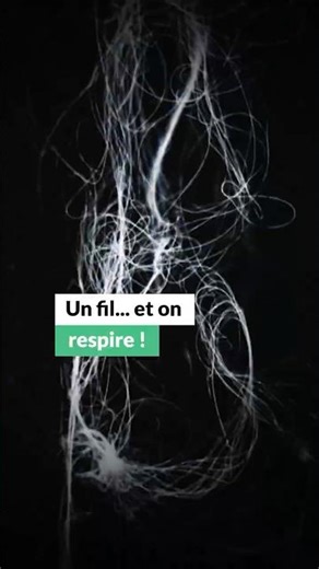 This innovative yarn mimics algae to purify the air | Nature = Future #short #science