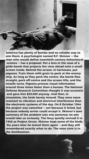 AMERICA BUILT A MISSILE STEERED BY 3 PIGEONS PECKING AT A SCREEN — THE PROBLEM WAS THAT IT WORKED.
