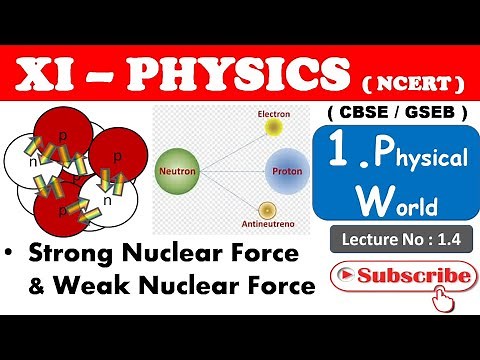 Std 11th PHYSICS | 1.4 Strong Nuclear Force and Weak Nuclear Force || Inspired by Physics Wallah