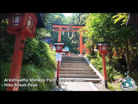 30 Minutes of Peace: A Japanese Forest Walk in Kyoto | Arashiyama Hike (4K 60fps)