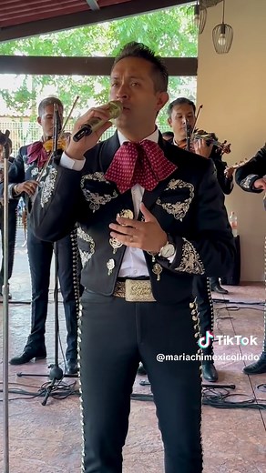 Motivos - Luis Miguel Mariachi Serenata Song