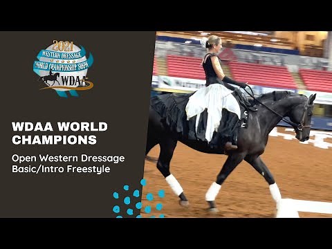 2021 WDAA Western Dressage Basic/Intro Freestyle World Champions - Marsha Hartford Sapp and Vino