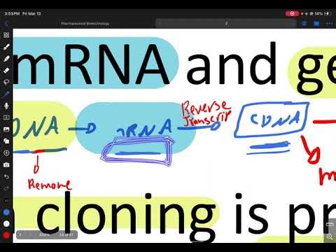 CDNA and genomic library-lec2