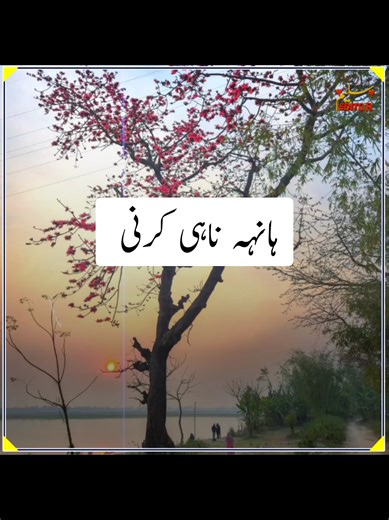 Exploring the Essence of Punjabi Poetry