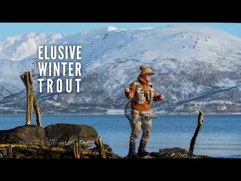 Arctic Sea Trout: A Winter Story of Patience and Hope