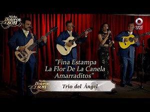 María Dolores Pradera (Popurrí) - Trío del Ángel - Noche, Boleros y Son
