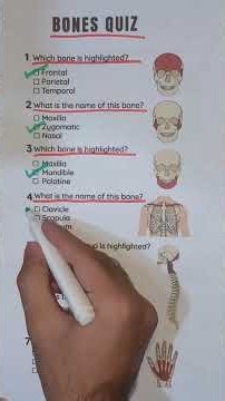 Bone Quiz Anatomy Quiz #nclexstudyguide #gk #boostyourknowledge #sciencequiz #bynclexstudychannel🙏🙏🙏