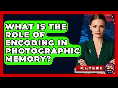 What Is The Role Of Encoding In Photographic Memory? - Did Ya Know This