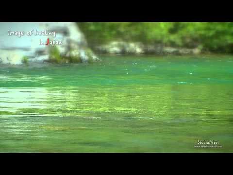 川のせせらぎ【癒しの映像】