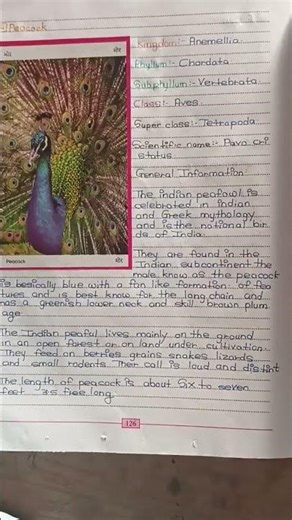 std 11, 12 biology project 🧑🏻‍🏫