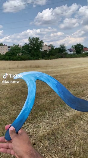 Did your boomerang come back? 🤓