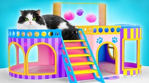 Casa para gatos perfecta de bricolaje 🐈🐾🏡 Manualidad FÁCIL y DIVERTIDA | SUPER SLICK SLIME SAM