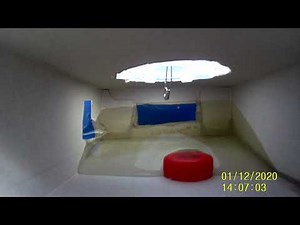 Cardboard passenger ship sinks with inside view! - GoPro footage