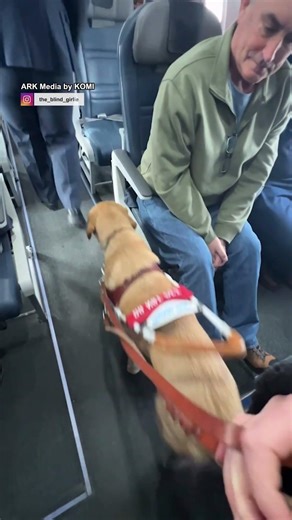 This professional pup does a job well done 🐾🦮