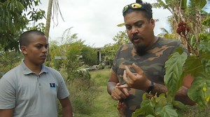 6.4K reactions · 1.1K shares | Notre terroir est riche ! Gaël Soupe le sait et en a fait un art de vivre... Au milieu de son jardin de permaculture, il nous montre que c'est possible de produire et de manger local, sain et gourmand ! 朗 | Eclosia | Facebook