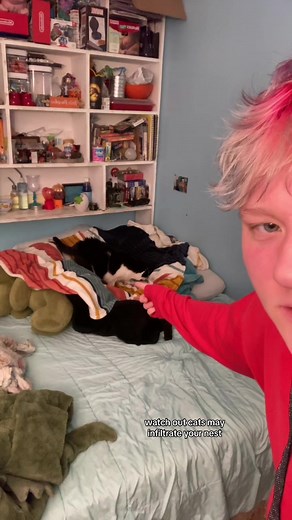 Nest Building Tutorial: Alpha, Beta, Omega Dynamics Explained