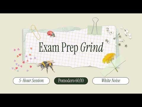 60/10 Pomodoro Timer | Study With Me 5 Hours 🎧 White Noise for Deep Focus, Exam Prep Session, ADHD