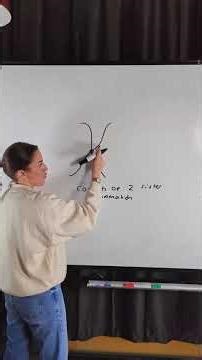 A-level Biology - Why does the chromosome look like this?