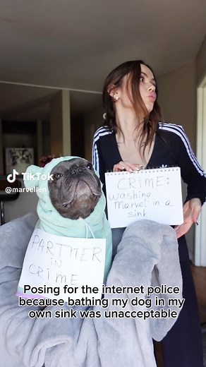 Marvel 🐶 & Ellen 👩🏻 (@marvellen)’s videos with original sound - Sammy Edan