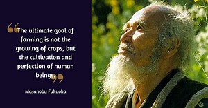 Revolution With One Straw: How One Japanese Farmer Changed Modern Agriculture