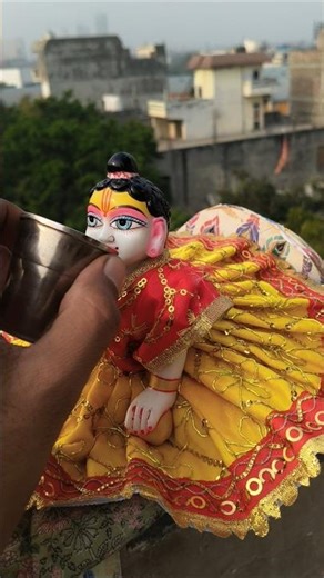 Laddu Gopal #laddugopal #ytshorts #kanhaji #krishnastatus #shortsfeed #shorts