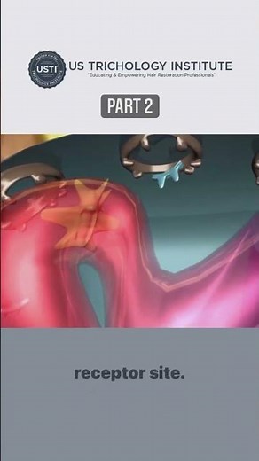 Final part of our 2 part DHT animation explaining how DHT affects the body and how we prevent effect