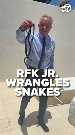 It appears Health and Human Services Secretary Robert F. Kennedy Jr. can also add the title "snake wrangler" to his resume. RFK Jr. shared a video on X on Tuesday showing him wrangling a pair of snakes on the patio of Centers for Medicare and Medicaid Services Administrator Dr. Oz's Palm Beach, Florida home. 🐍 Read more at https://t.co/nZTw1YPpHQ 🔗