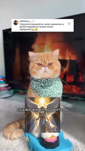 #харитон #cat #talkingbuttons #straykids #funnycat #catsoftiktok #straykidsstay #catplay #reactioncat #reaction #talkingcat #cat #говорящийкот | Hariton Cat
