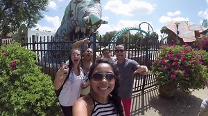 239K views · 326 shares | SeaWorld Orlando + Busch Gardens Tampa Bay...