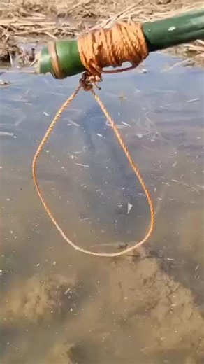 Fisher 87 (@fishe800)’s videos with original sound - Fisher 87